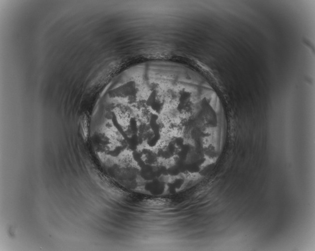 X0000100850069200807111226