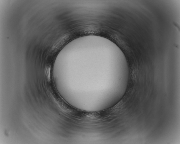 X0000100850070200807111226