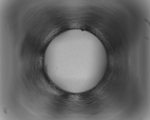 X0000100850071200807111226