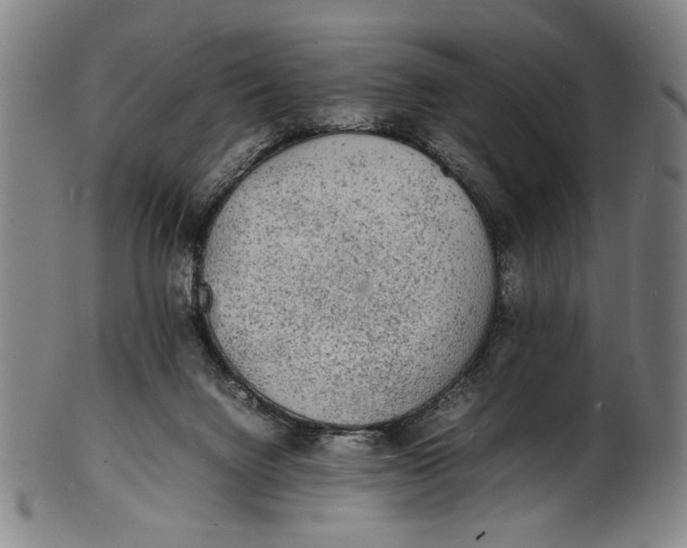 X0000100850072200807111226