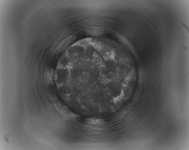 X0000100850073200807111226