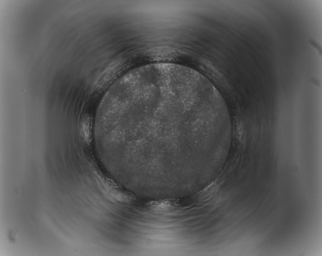 X0000100850074200807111226