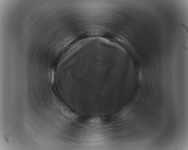 X0000100850076200807111226