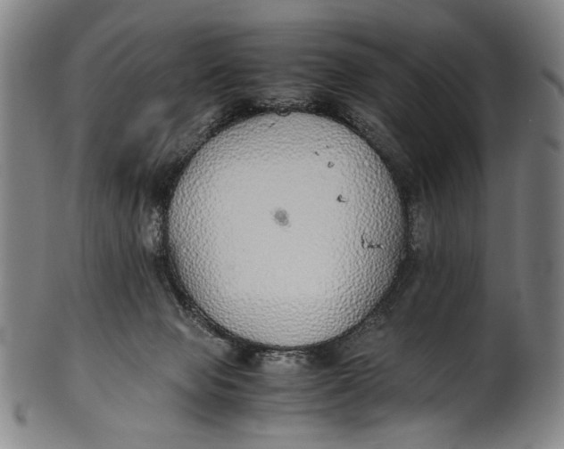 X0000100850077200807111226