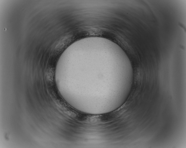 X0000100850078200807111226