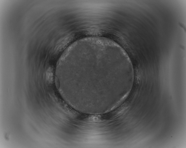 X0000100850080200807111226