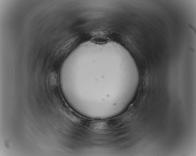 X0000100850081200807111226