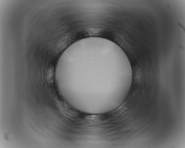 X0000100850082200807111226