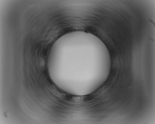 X0000100850084200807111226