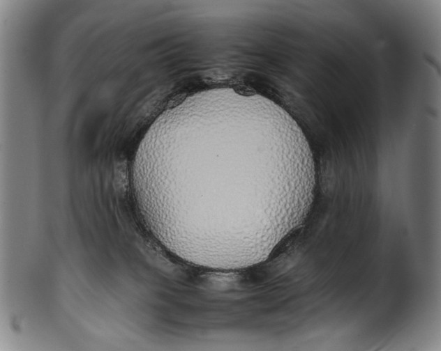 X0000100850085200807111226