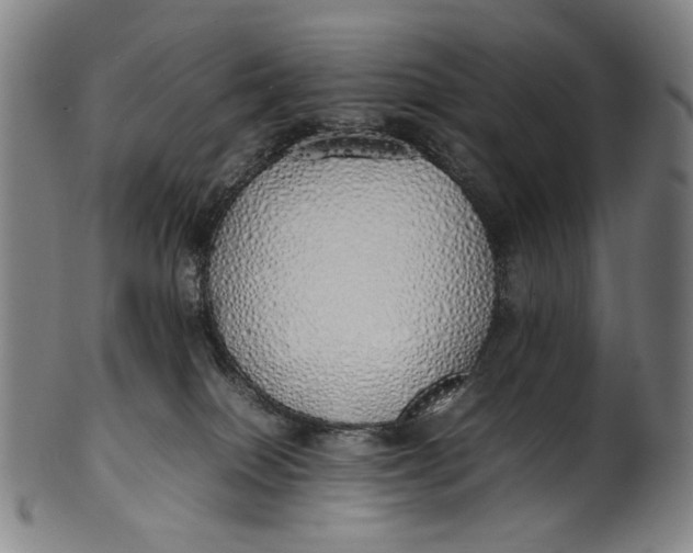 X0000100850086200807111226