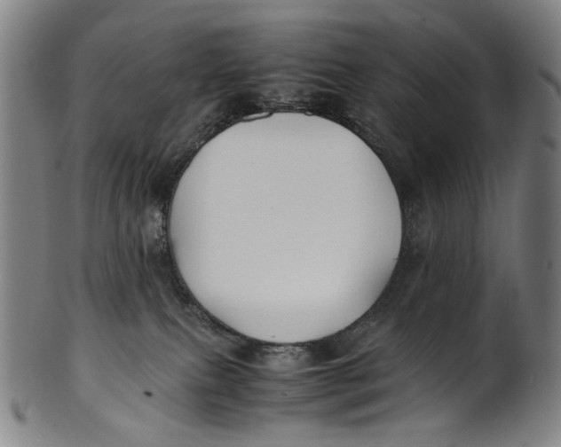 X0000100850087200807111226