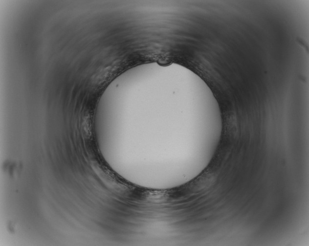 X0000100850088200807111226