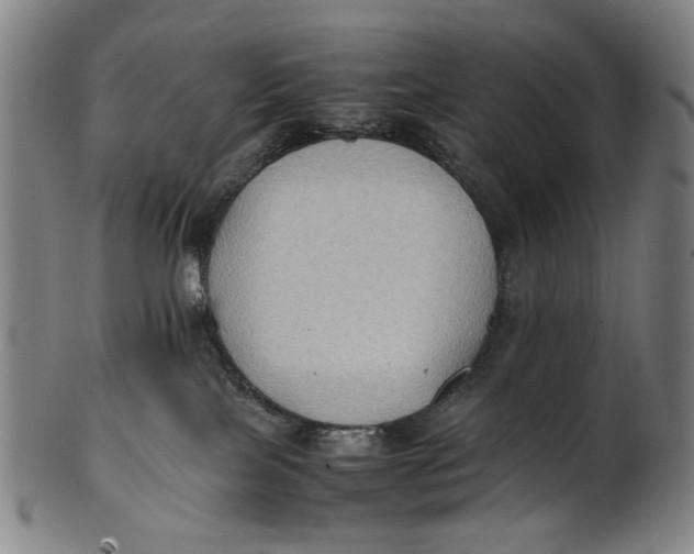 X0000100850089200807111226