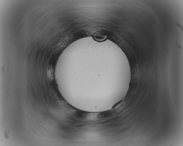 X0000100850090200807111226