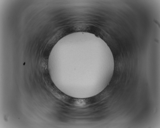 X0000100850091200807111226