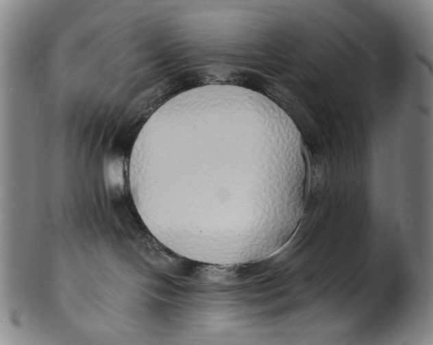 X0000100850094200807111226