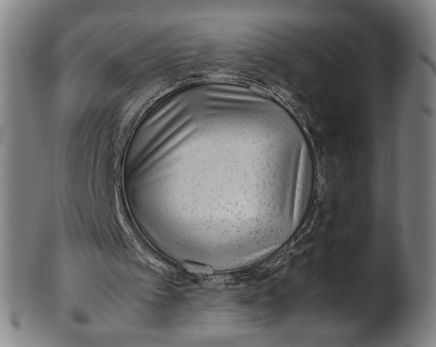 X0000100850097200807111225