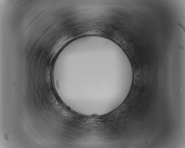 X0000100850098200807111225