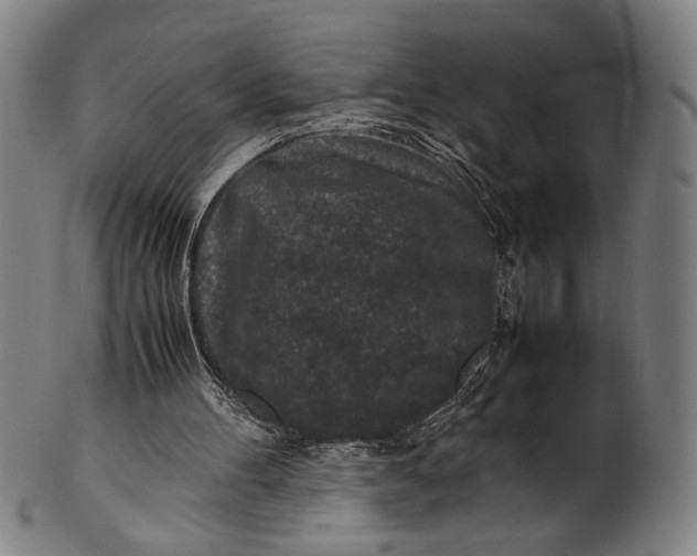 X0000100850100200807111225