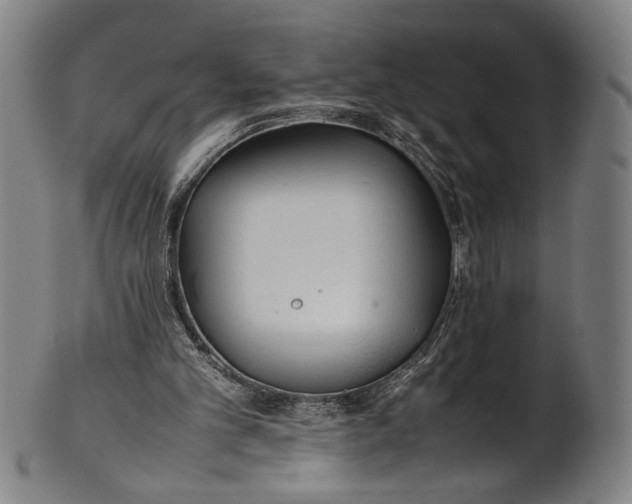 X0000100850101200807111225