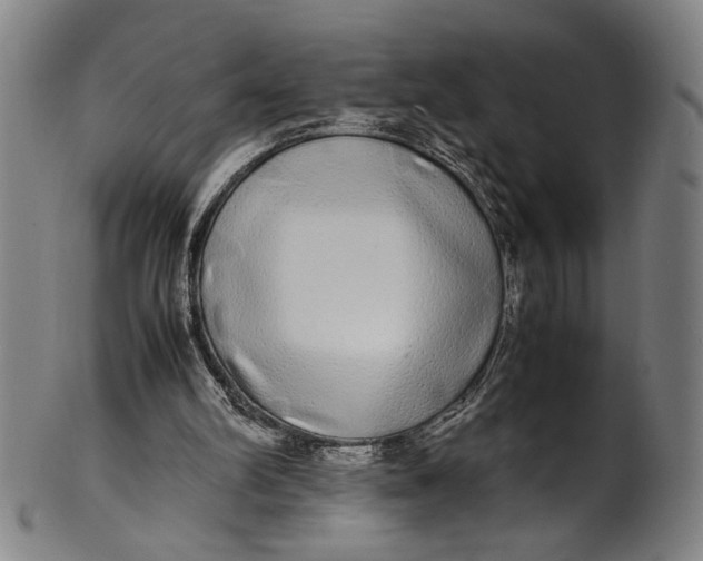 X0000100850102200807111225