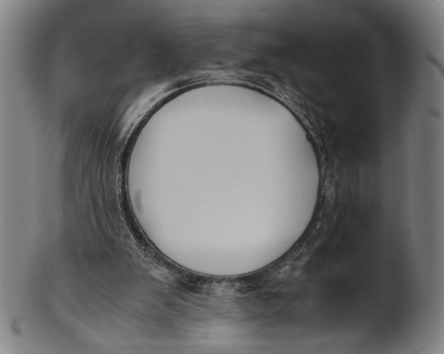 X0000100850103200807111225