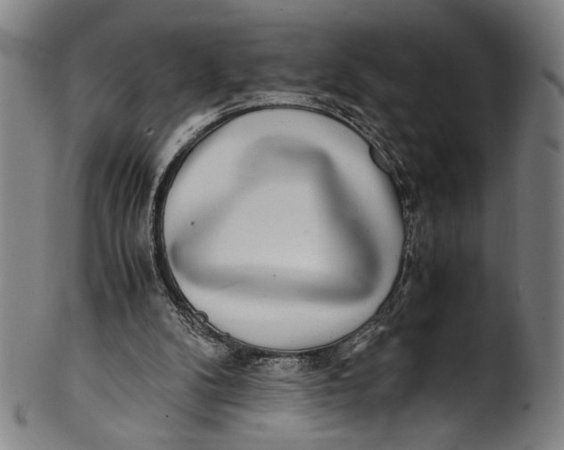 X0000100850104200807111225