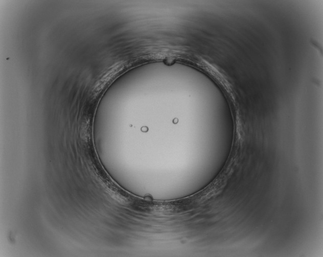 X0000100850105200807111225