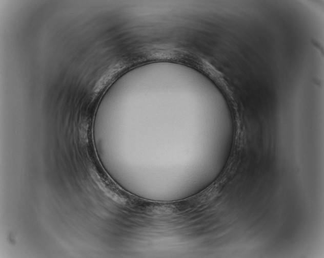 X0000100850106200807111225