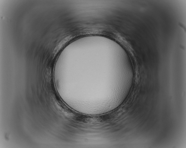 X0000100850107200807111225