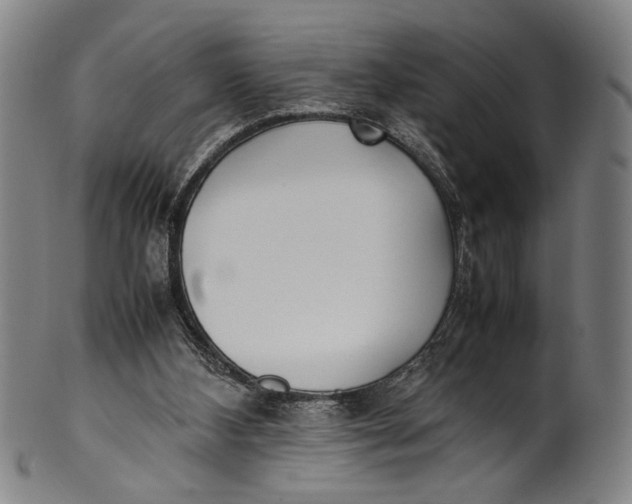 X0000100850108200807111225