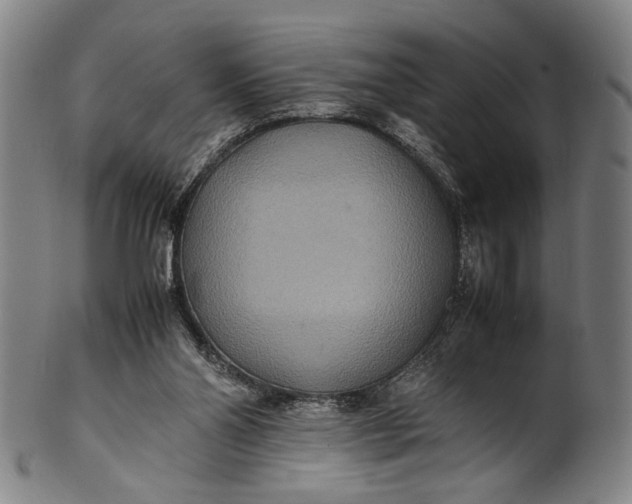 X0000100850110200807111225