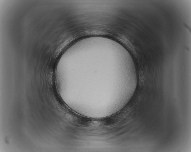 X0000100850111200807111225