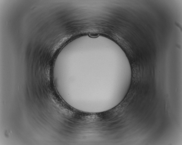 X0000100850112200807111225