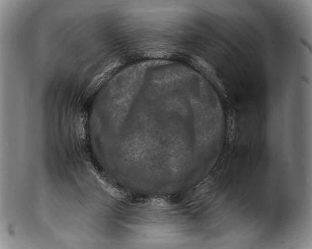 X0000100850114200807111225