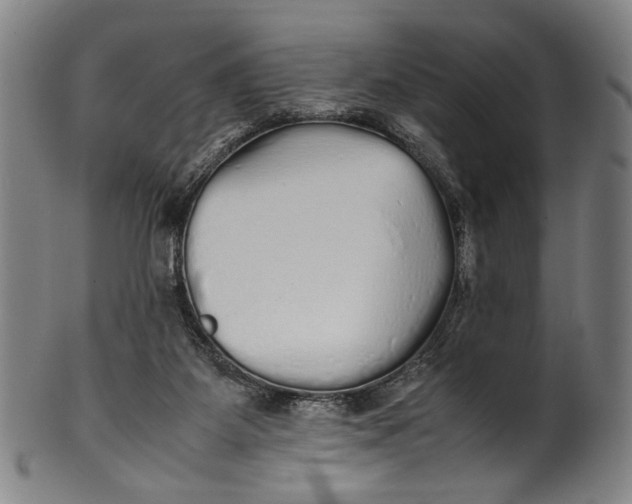 X0000100850115200807111225