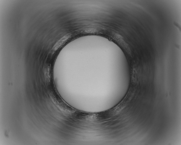 X0000100850116200807111225