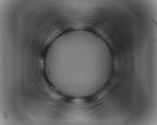 X0000100850117200807111225