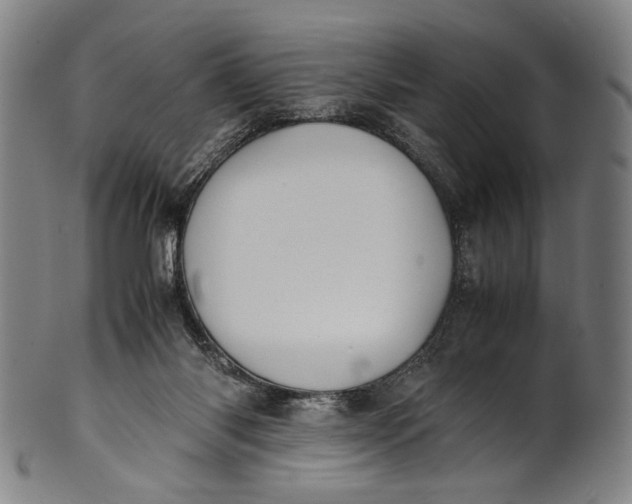 X0000100850118200807111225