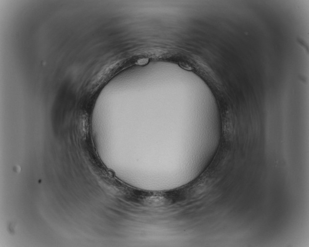 X0000100850119200807111225