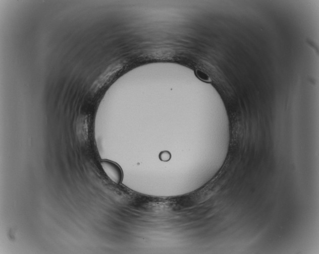 X0000100850120200807111225