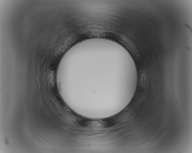 X0000100850121200807111225