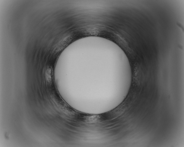 X0000100850122200807111225