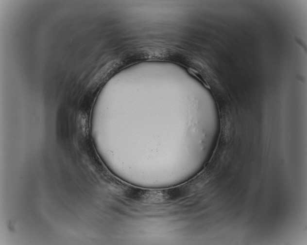 X0000100850123200807111225