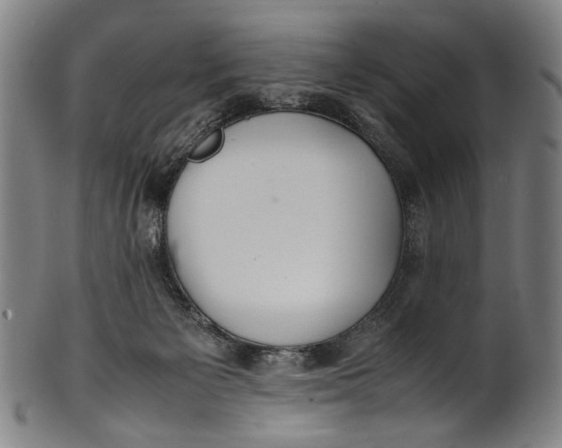 X0000100850125200807111225