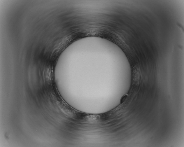 X0000100850126200807111225