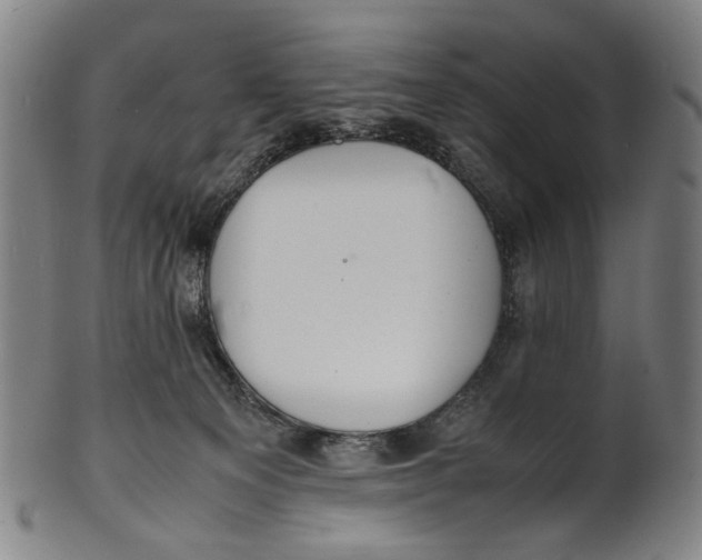 X0000100850129200807111225