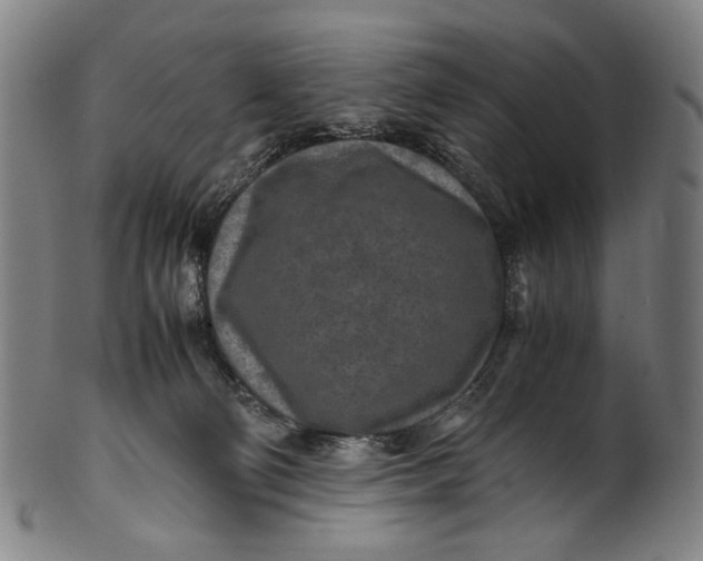 X0000100850130200807111225