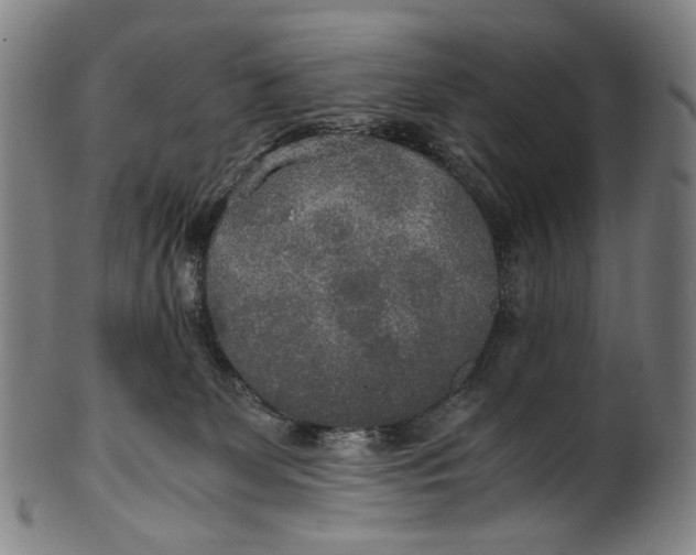 X0000100850131200807111225